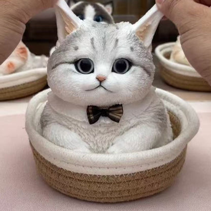 #Squishy