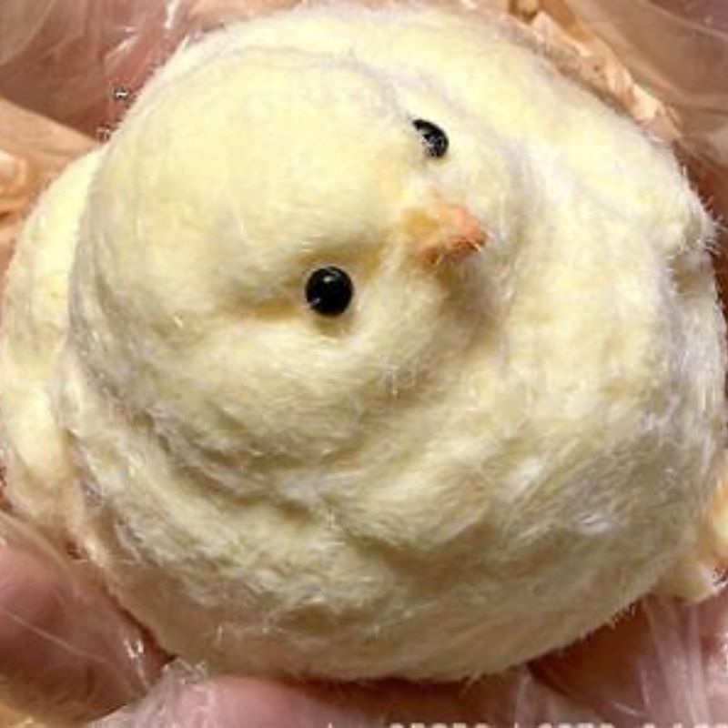 #Squishy