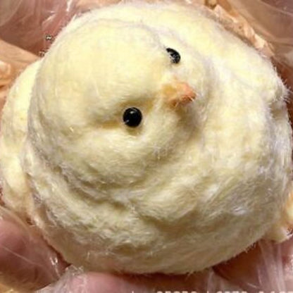#Squishy